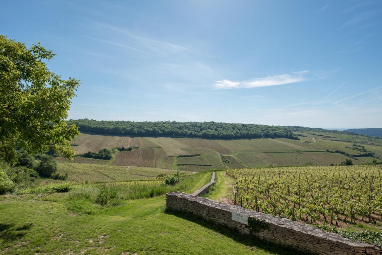 Chez Joseph - Au Coeur Des Vignes De Saint-Romain Luaran gambar